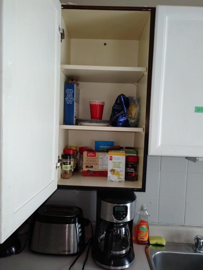 Cozy Downtown Two Bedrooms Free Parking Kingston Eksteriør bilde