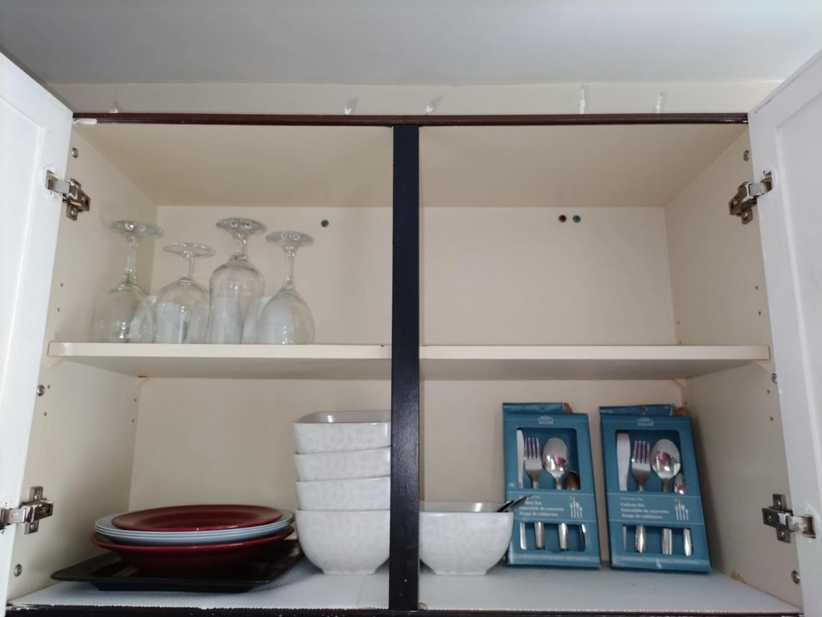 Cozy Downtown Two Bedrooms Free Parking Kingston Eksteriør bilde