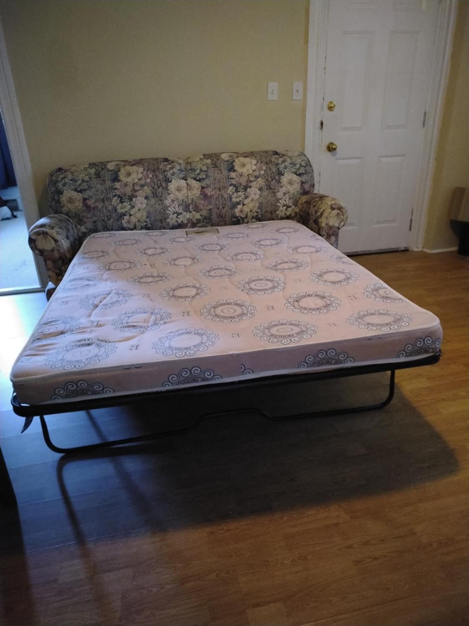 Cozy Downtown Two Bedrooms Free Parking Kingston Eksteriør bilde
